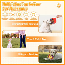 Load image into Gallery viewer, Dog Interactive Sound-Making Ball Toys With Labels, Soft-Filled Puppy Toys, Built-In Bells, Dog Chewing Toys
