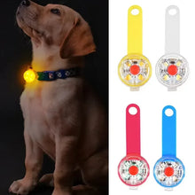 Load image into Gallery viewer, Dog collar, loss collar, weatherproof LED safety light, USB rechargeable LED light collar, dog, cat, pet
