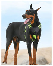Load image into Gallery viewer, Dog Harness,No Pull Harness,Reflective No-Choke Pet PU Vest,Adjustable Soft Padded Pet Vest with Handle for Small To Large Dogs
