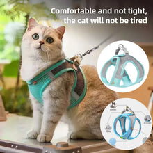 Load image into Gallery viewer, Pet Things Cat Accessories Cute Adjustable Cat Collar and Leash Set for Walking Safe Reflective Soft Comfortable Vest
