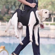 Load image into Gallery viewer, Dog-Assisted Rehabilitation Exercises for Elderly Disabled Dogs, Take You Upstairs and Help with Carrying Pet Backpacks
