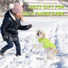 Load image into Gallery viewer, Pet Knitted Leisure Dog Clothes Autumn Winter Warm Vest Jacket With Zipper For Samll Medium Dog Chihuahua French Bulldog Coats

