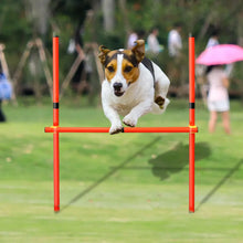 Load image into Gallery viewer, Dog Agility Equipment Portable Pet Training Equipments Dogs Jumping Training Tool Outdoor Dogs Running Stake Sports Stakes Pole
