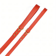 Load image into Gallery viewer, Dog Leash for Small Medium Large Dogs Walking,Easy to Use, Lightweight &amp; Durable,Training Leash for Control Safety Training
