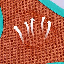 Load image into Gallery viewer, Dog Harness Leash for Medium Small Dogs - Comfortable Pet Chest Harness, Durable Walking Rope, Adjustable, Ideal for Daily Walks
