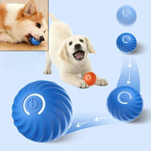 Load image into Gallery viewer, Dog Toy Ball Automatic Moving Bouncing Rolling Ball USB Smart puppy Interactive Dog Chew Toy Ball
