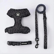 Load image into Gallery viewer, Harness for Cats Collar, Harness, Leash Accessories Pets Goods Kitten Pet Products Things Breast-band Supplies Kittens
