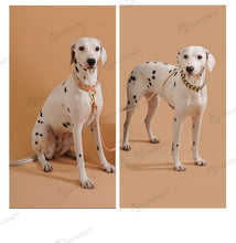 Load image into Gallery viewer, Dog Fashion Collar For Ladies Handmade Design Pet Colorful Neck Ring Small Medium and Large Dogs Lead-collar Wear Supplies
