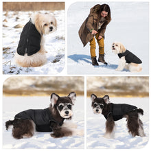 Load image into Gallery viewer, Pet Knitted Leisure Dog Clothes Autumn Winter Warm Vest Jacket With Zipper For Samll Medium Dog Chihuahua French Bulldog Coats
