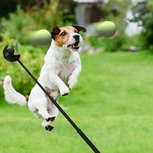 Load image into Gallery viewer, Dog Toys Throwing Pole Pet Throwing Stick Hand Throwing Ball Toys Pet Tennis Launcher Pole Outdoor Training Toys Pet Supplies
