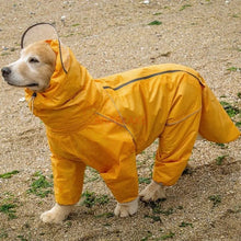 Load image into Gallery viewer, Pet dog, big dog, medium to large dog, golden haired Samoyed, Alaska, all inclusive raincoat, hooded bag, tail rain gear
