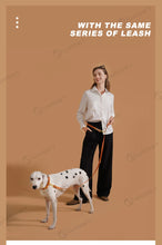 Load image into Gallery viewer, Dog Fashion Collar For Ladies Handmade Design Pet Colorful Neck Ring Small Medium and Large Dogs Lead-collar Wear Supplies
