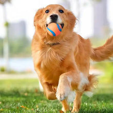 Load image into Gallery viewer, Dog Toy Ball Dog Fetch Ball Toy Tough Pet Ball Puppy Chew Toy Solid Elastic Jumping Ball Pet Accessories For Large Medium Small
