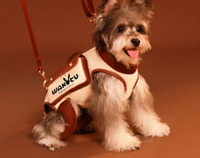 Load image into Gallery viewer, Dog Carriers Bags Portable Cat Backpack Pet Travel Portable Accessories Products Comfortable Travel Bag Cartoon Design Tractable
