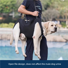Load image into Gallery viewer, Dog-Assisted Rehabilitation Exercises for Elderly Disabled Dogs, Take You Upstairs and Help with Carrying Pet Backpacks
