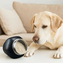 Load image into Gallery viewer, Stainless Steel Pet Memorial Ash Urn Black Sealed Jar Cat Funeral Keepsake Moisture-Proof Dog Cremation Urn Garden Burial
