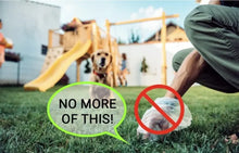 Load image into Gallery viewer, Dog Pooper Scooper Pet Long Handle Jaw Poop Scoop Picker Excrement Collector Clean Tools Outdoor Foldable Animal Feces Cleaner
