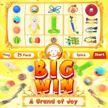 Load image into Gallery viewer, 25 Pack Various Puppy Dog Toys for Teething Entertainment Interaction Puppy Chew Toys Pack with Rope Toy Treat Balls and Dog Sq
