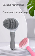 Load image into Gallery viewer, Pet Dog Hair Brush Cat Comb Pet Hair Remover Brush for Dogs Cats Puppy Kitten Grooming Tools Dogs Accessories Pet Supplies
