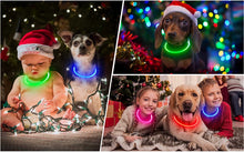 Load image into Gallery viewer, Luminous Dog Collar Light Charge Cat Necklace, Led Fashion Flashing DIY Glowing Safety Collar for Dogs Nighttime Pet Accessorie
