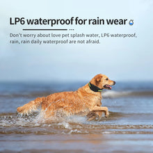 Load image into Gallery viewer, Dog Training Collar Anti-barking Collar Automatic Anti Bark Dog Collar USB Rechargeable Dog Trainer Electric Shock Beep
