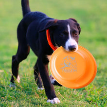 Load image into Gallery viewer, Dog Training Disc - Durable Pet  for Puppy &amp; Adult Dog Training, Lightweight Easy-Catch Dog Training Toy, Essential Pet Supplies
