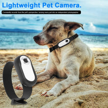 Load image into Gallery viewer, Wireless Cat Collar Camera Outdoor No WiFi Needed Pet Collar Camera With Screen Video Recording Dog Tracker Collar Pet Supplies
