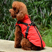 Load image into Gallery viewer, Winter Warmth Dog Vest with Integrated Harness Padded Pet Jacket Zipper Closure Dog Coat Comfortable and Safe for Small Breeds
