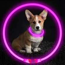 Load image into Gallery viewer, Luminous Dog Collar Light Charge Cat Necklace, Led Fashion Flashing DIY Glowing Safety Collar for Dogs Nighttime Pet Accessorie
