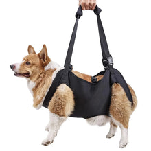 Load image into Gallery viewer, Dog-Assisted Rehabilitation Exercises for Elderly Disabled Dogs, Take You Upstairs and Help with Carrying Pet Backpacks
