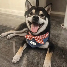 Load image into Gallery viewer, Pet Scarf For Cats And Dogs Cute Drool Towel TriangSmall Dog Cloth Doll Teddy Bear Decoration Home &amp; Garden Pet Supplies
