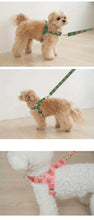 Load image into Gallery viewer, Pet collar, V-neck, cat, dog leash, dog walking decoration, cute, soft, durable
