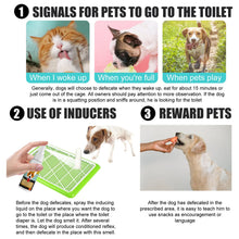 Load image into Gallery viewer, Dog Potty Training Spray Cats Kitten Outdoor Urine Poops Stool Location Helps Puppies Toilet Pet Positioning Defecation Inducer
