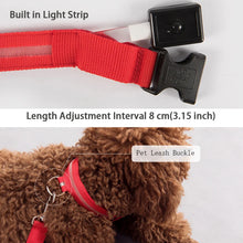 Load image into Gallery viewer, Dog Collar LED Light Electronic Night Safety Anti-Lost Nylon Adjustable Luminous Glowing Collar For Dogs Cats Pet Products Xs-XL
