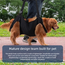 Load image into Gallery viewer, Dog-Assisted Rehabilitation Exercises for Elderly Disabled Dogs, Take You Upstairs and Help with Carrying Pet Backpacks
