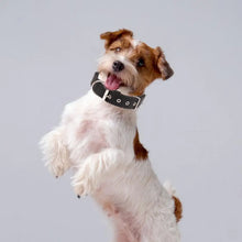 Load image into Gallery viewer, Dog Collars，Nylon，Adjustable Dog Neck Circle，Long-lasting Pet Neck Strap，with Traction Ring，Teddy Keji Pitbull，Pet Supplies
