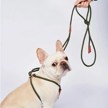 Load image into Gallery viewer, Dog Integrated Leash, Adjustable Harness Type, Pet Leash
