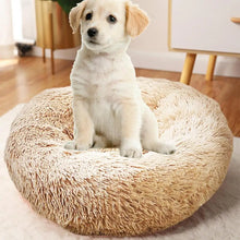 Load image into Gallery viewer, Soft Plush Pet Beds USB Heating Round Dog Bed Donut Round Beds For Small Medium Dogs And Cats Comfortable And Machine Washable
