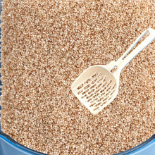 Load image into Gallery viewer, 1PC Mesh Litter Scoop For Sifting Cat Litter Box Shovel Efficient Waste Cleaning Hanging Hook Durable PP Material Pet Clean Tool
