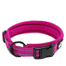 Load image into Gallery viewer, Truelove Pet Dog Collar Nylon Adjustable Webbing Padded Soft Reflective Durable Heavy Duty Training Custom Luxury Cat TLC5011

