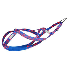 Load image into Gallery viewer, Pulling Harness For Dogs Puppy Harness Adjustable Reflective Dog Harness Outdoor Dog Rope Flexible Dog Training Rope For
