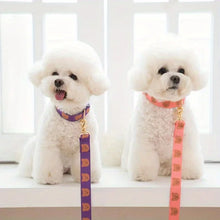 Load image into Gallery viewer, Pet collar, V-neck, cat, dog leash, dog walking decoration, cute, soft, durable
