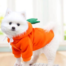 Load image into Gallery viewer, Cute Fruit Dog Clothes for Small Dogs Hoodies Warm Fleece Pet Clothing Puppy Cat Christmas Costume Coat Chihuahua Jacket Suits
