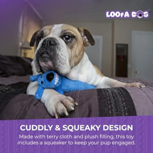 Load image into Gallery viewer, LOOFA DOG TOY, 2025 year
