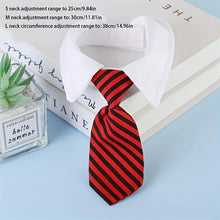 Load image into Gallery viewer, Pet Dog Accessories Small Harness Retractable Leash Things Collar So Pets Products Leather Bulldog French Big Large Dogs Set
