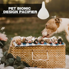 Load image into Gallery viewer, For New born Kittens Puppies Rabbits Small Animals Universal Pet Feeding Nipple Mini Silicone Feeding Pacifier Kitten Feeder
