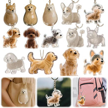 Load image into Gallery viewer, Dog/Cat Fur Memorial Charm Resin Keepsake Capsule for Cute Dog  Hair Portable Keychain Pendant for Hair Rainbow Bridge Pendant
