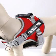 Load image into Gallery viewer, Puppy Accessories Adjustable Dog Harness Reflective Leash Set Adjustable Harness No Pull Harness Outdoor Walking
