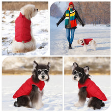 Load image into Gallery viewer, Pet Knitted Leisure Dog Clothes Autumn Winter Warm Vest Jacket With Zipper For Samll Medium Dog Chihuahua French Bulldog Coats
