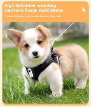 Load image into Gallery viewer, Waterproof Mini Body Camera for Dogs Cats, Outdoor Adventures Pet Camera Cam Smart Collar HD 1080P WiFi App with Video Recording
